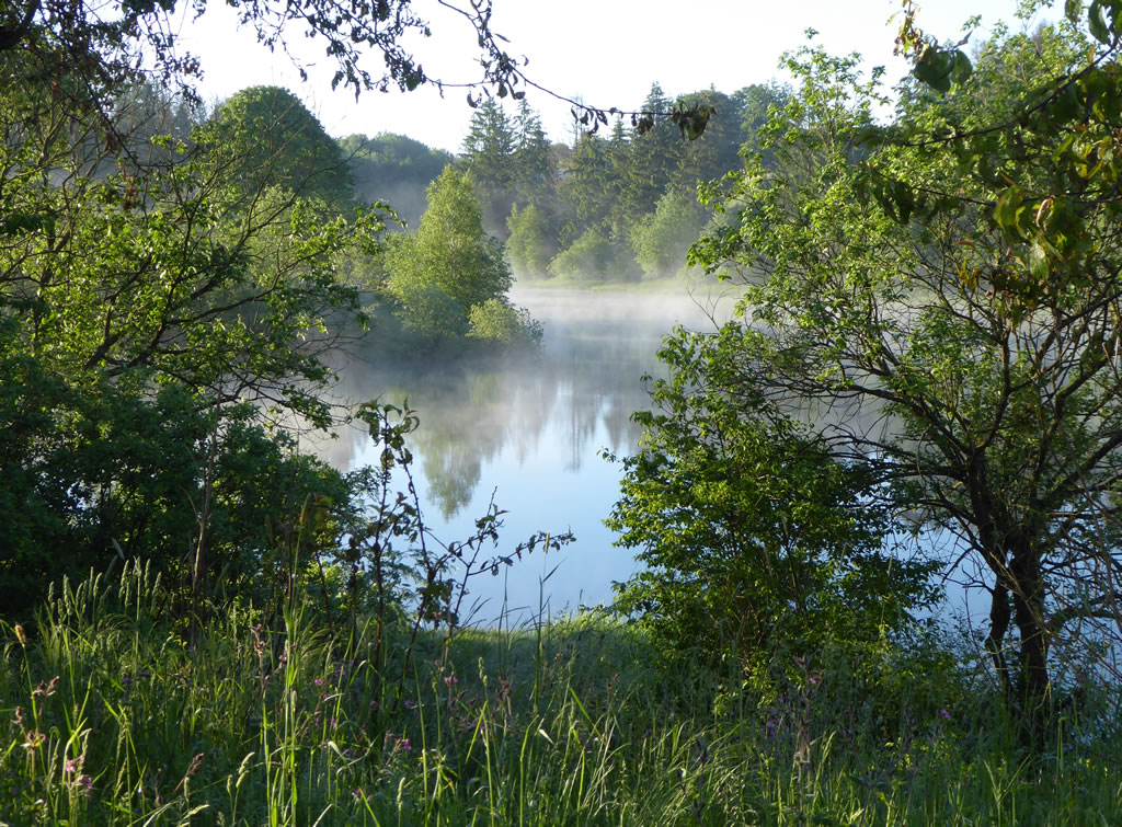 Eschenbacher Teich im Sommer